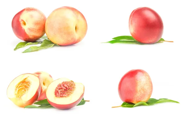 Groep geïsoleerde perziken op een witte achtergrond — Stockfoto