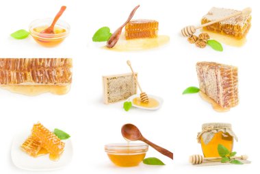 Bal arısı koleksiyonu beyaz arkaplan kesiminde izole edildi