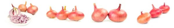 Collage of Fresh bulbs of onion isolated on a white background cutout — Stock Photo, Image