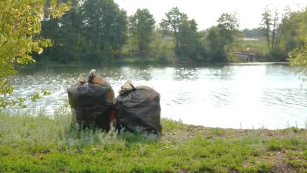 Zwarte volle plastic vuilniszakken op de oever van het meer op het groene gras. Het bos op de achtergrond — Stockvideo