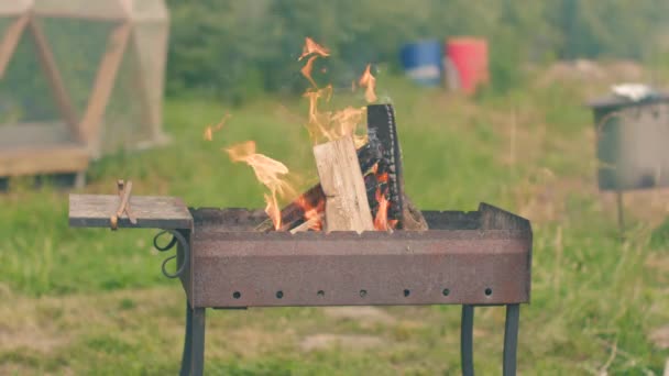 Brännande ved i lågor i en frätare — Stockvideo