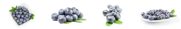 Collage of huckleberry on a white background clipping path — Stock Photo, Image