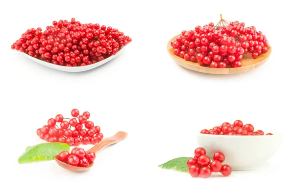 Set von Pfeilhölzern Beeren Nahaufnahme isoliert auf weißem Hintergrund — Stockfoto