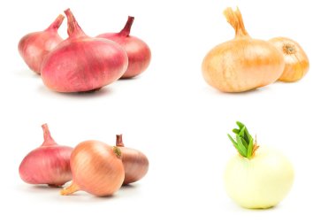 Olgun soğan koleksiyonu beyaz arka planda izole edilmiş