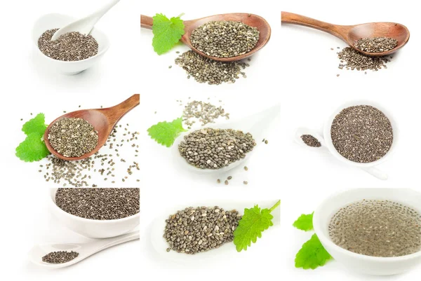 Collage van superfood chia zaden close-up op wit — Stockfoto