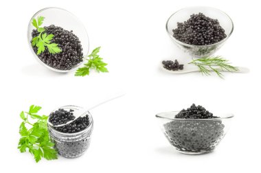 Siyah balık yumurtası koleksiyonu, beyaza yakın çekim.