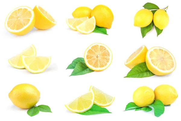 Grupo de limones aislados sobre un corte de fondo blanco —  Fotos de Stock