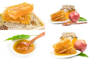 Bal arısı koleksiyonu beyaz arkaplanda izole edildi