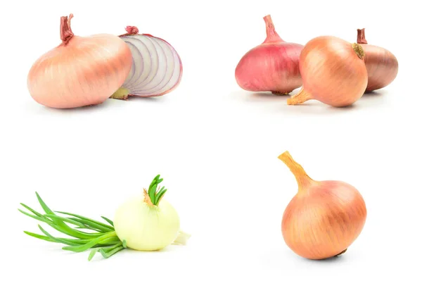 Collage of Ripe onion isolated on a white background with clipping path — Stock Photo, Image