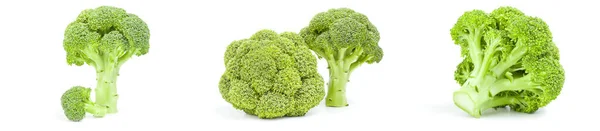 Brokoli floreti koleksiyonu beyaz arkaplan kesiminde izole edildi — Stok fotoğraf