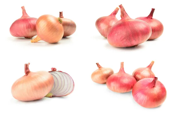 Collage of Fresh bulbs of onion over a white background — Stock Photo, Image