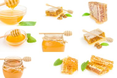 Bal arısı kolajı beyaz arkaplan kesiminde izole edildi