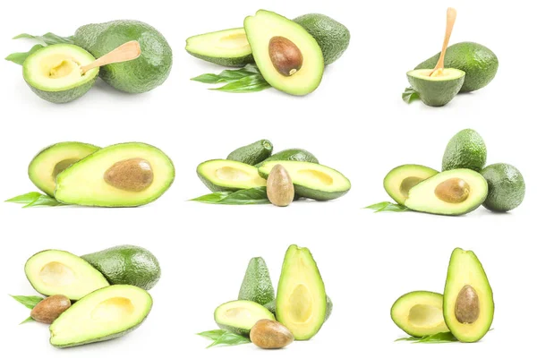 Verzameling van groene avocado 's geïsoleerd op wit — Stockfoto