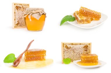 Beyaz arkaplanda izole edilmiş Bal kümesi