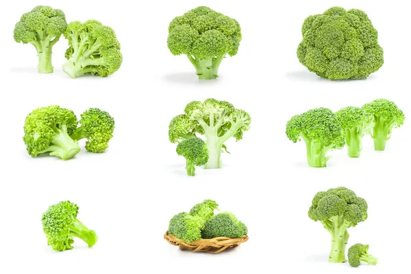 Group of broccoli cabbage close-up on white — Stock Photo, Image