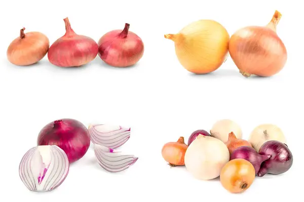 Set of Onion over a white background — Stock Photo, Image