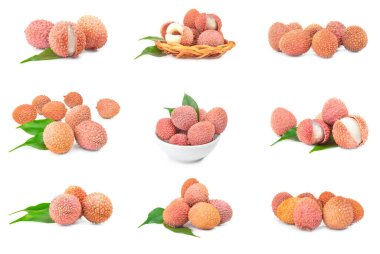 Beyaz bir arkaplan üzerine zampara seti