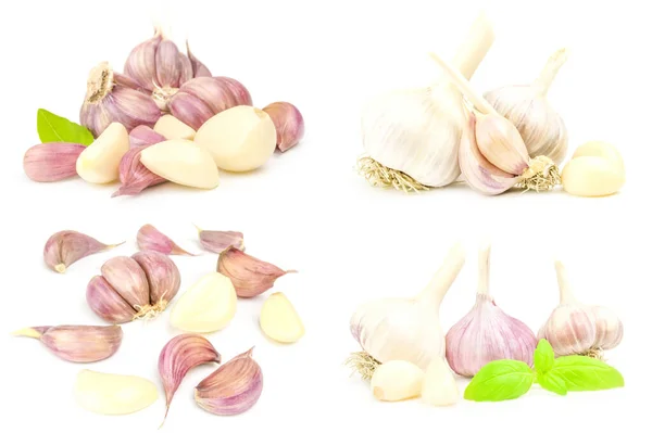 Set di spicchio d'aglio isolato su bianco — Foto Stock