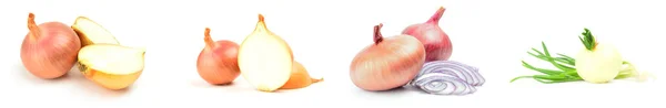 Collage of Onion isolerad på en vit bakgrund med klippning väg — Stockfoto