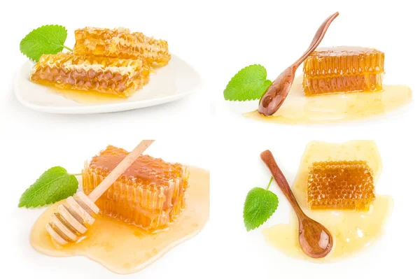 Colección de miel de abeja primer plano en blanco — Foto de Stock
