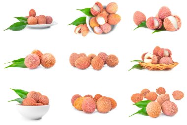 Llechee grubu beyaz bir arkaplanda izole edildi