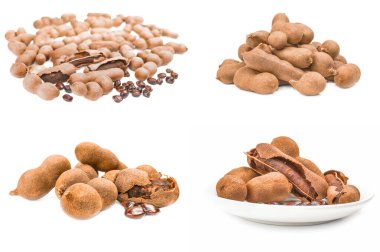 Tamarindus indica kolajı izole edilmiş beyaz arka planda