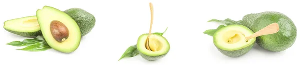 Groep groene avocado 's geïsoleerd over een witte achtergrond — Stockfoto