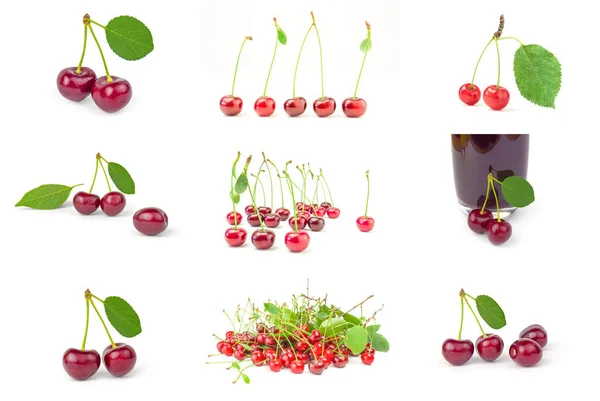 Set of Cherry elszigetelt fehér háttér kivágás — Stock Fotó
