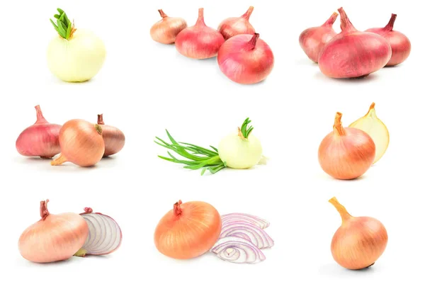 Collage of Onion isolated on a white background cutout — Stock Photo, Image