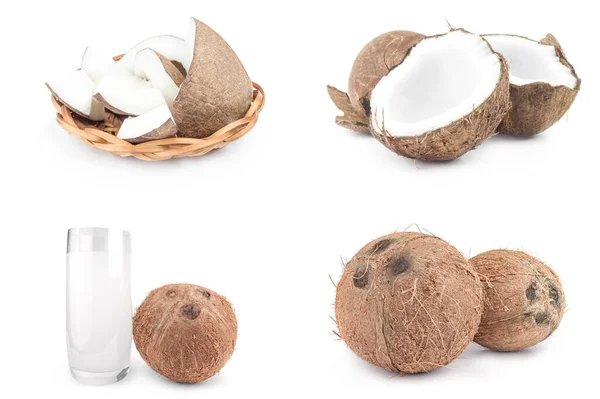 Coleção de coco isolado em um fundo branco com caminho de recorte — Fotografia de Stock