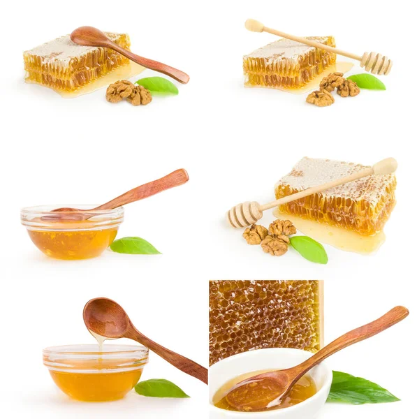 Collage von Honigbienen isoliert auf weißem Hintergrund — Stockfoto