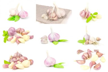 Sarımsak kolajı beyaz arkaplan kesiminde izole edildi