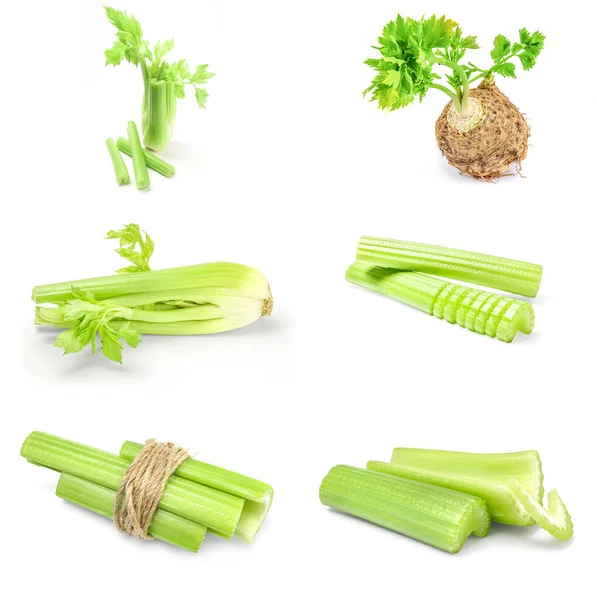 Set dari celeriac diisolasi di cutout latar belakang putih — Stok Foto