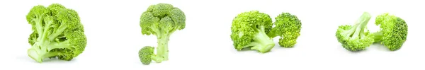 Set of fresh green broccoli isolated on a white cutout — Stock Photo, Image