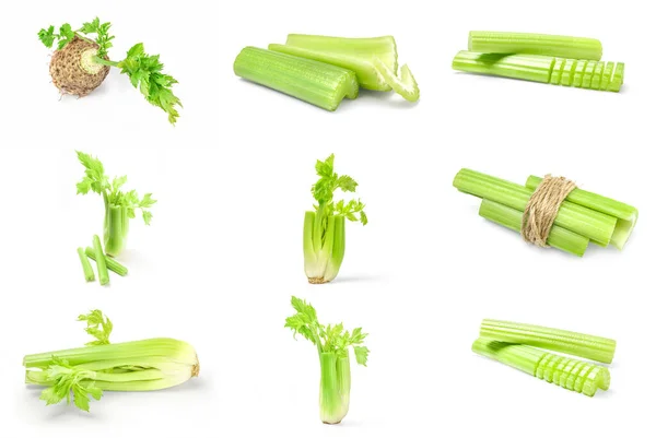 Collage of celeriac isolated over a white background — Stock Photo, Image