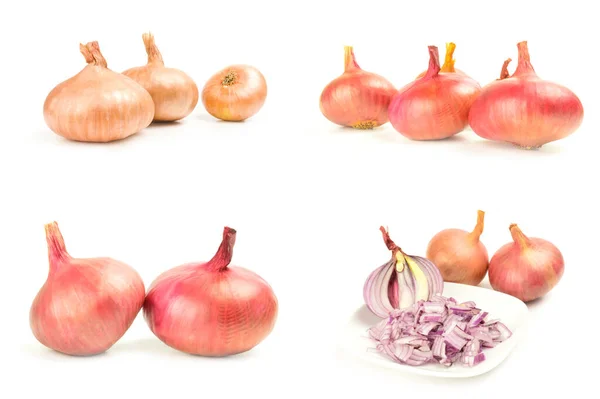 Set of Ripe onion isolated on a white background cutout — Stock Photo, Image