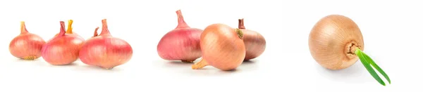 Group of Onion isolated on a white background cutout — Stock Photo, Image