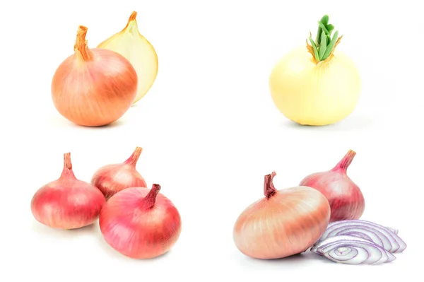 Group of Onion isolated on a white background cutout — Stock Photo, Image