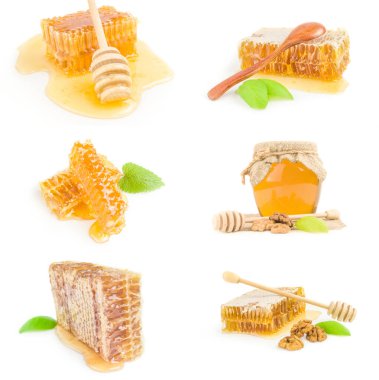 Beyaz arkaplanda izole edilmiş bal grubu