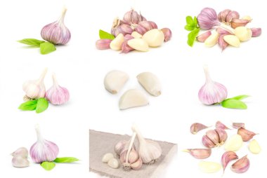 Beyaz arkaplanda izole edilmiş sarımsak seti