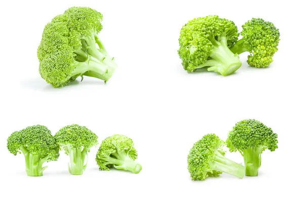 Taze yeşil brokoli seti — Stok fotoğraf