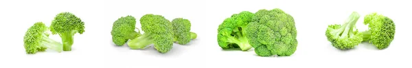 Set of fresh head of broccoli — Stock Photo, Image