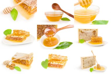 Beyaz arkaplanda izole edilmiş bir bal seti