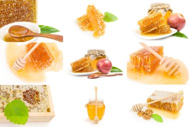 Beyaz arkaplanda izole edilmiş Bal kümesi