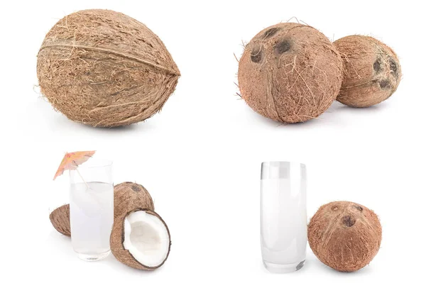 Conjunto de coco isolado sobre fundo branco — Fotografia de Stock