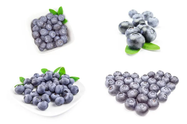 Collage of huckleberry isolated on a white background cutout — Stock Photo, Image