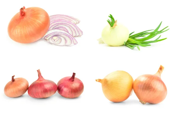 Collage de bulbos de cebolla fresca sobre un fondo blanco —  Fotos de Stock
