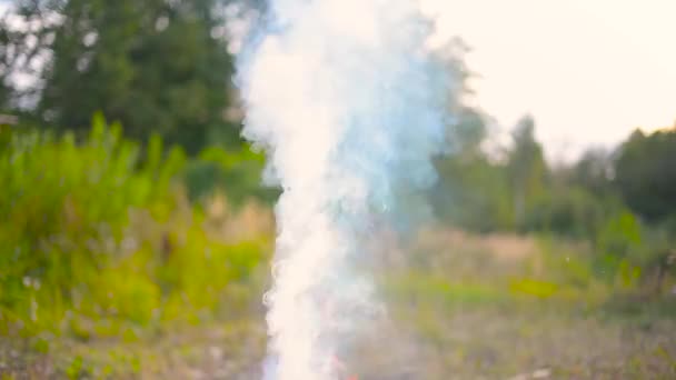 Fumaça grossa subindo de uma fogueira ao ar livre em um fundo da floresta — Vídeo de Stock