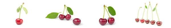 Collage of Cherry isolated on a white background — Stock Photo, Image