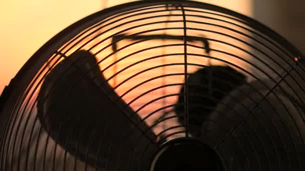 The fan starts to spin, spins quickly and stops. Close-up — Stock Video